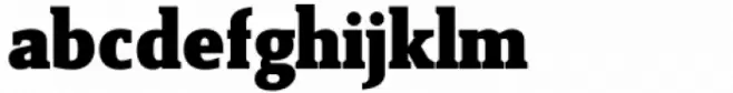 Reba Samuels Serif 5