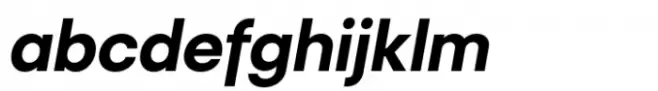 Recht Bold Italic