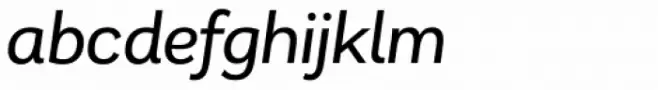 Remora Corp W2 Medium Italic