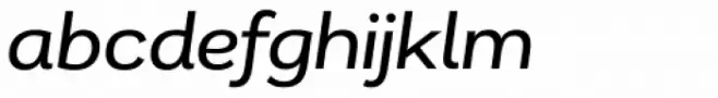 Remora Corp W3 Medium Italic