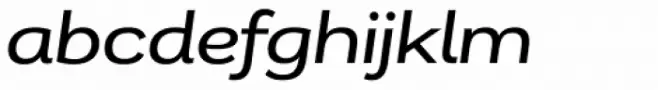 Remora Corp W4 Medium Italic