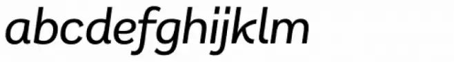 Remora Sans W2 Medium Italic