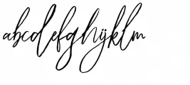 Riclose Serif Script Regular