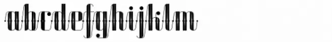 Roadster Script Solid Dot Deco