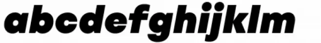 Rothorn Black Italic