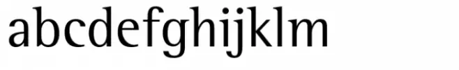 Rotis Semi Serif Paneuropean 55 Regular