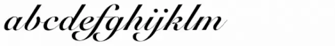 Roundhand Bold BT