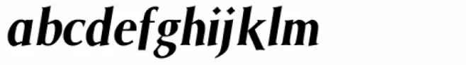 Saga Bold Italic
