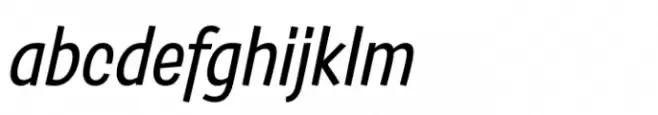 Salad Italic