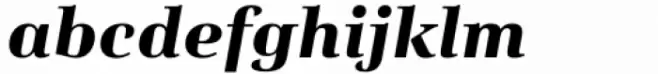 Salient Bold Italic