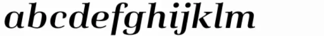 Salient Medium Italic