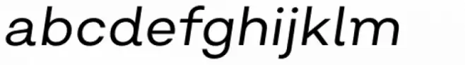 Salvatore Book Italic