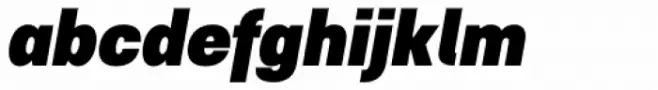 Samplex Black Italic