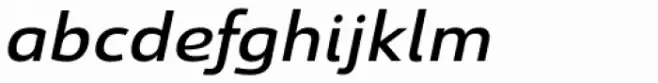 Savigny Medium Extended Italic