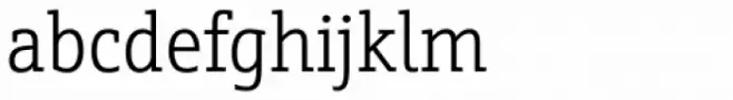 Schnebel Slab Pro Condensed Light