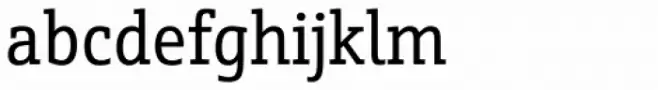 Schnebel Slab Pro Condensed