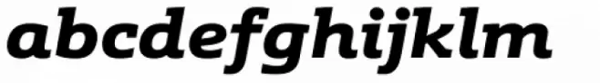 Schnebel Slab Pro Expanded Black Italic