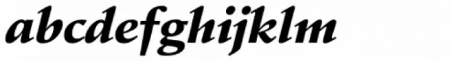 Schneidler EF Black Italic