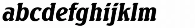 Seagull Serial Black Italic