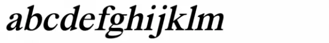 Segikan Medium Italic