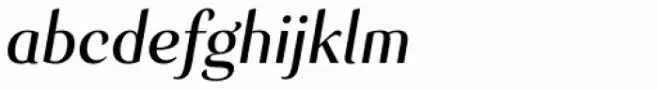 Senlot Norm Medium Italic