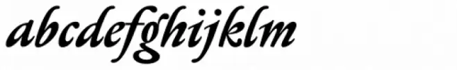 Serapion Bold Italic