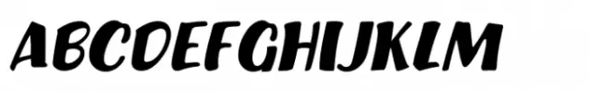 Show Card Brush JNL Oblique