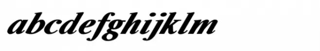 Shree Devanagari 0739 Black Italic