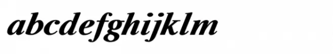 Shree Devanagari 1015 Italic