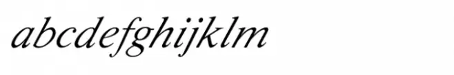 Shree Devanagari 1039 Italic