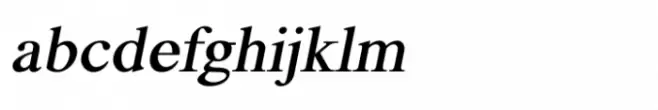 Shree Devanagari 1051 Bold Italic