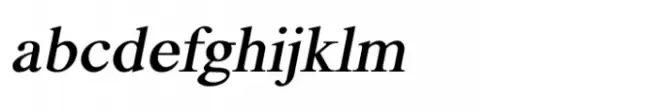 Shree Devanagari 1060 Italic
