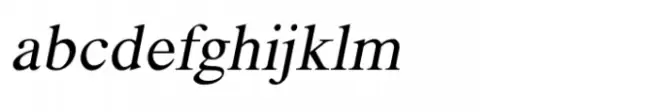 Shree Devanagari 1070 Italic