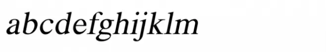 Shree Devanagari 1078 Italic