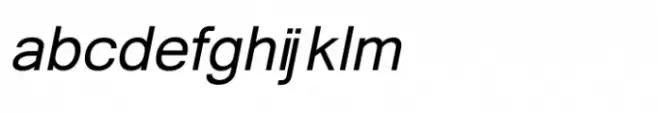 Shree Devanagari 1208 Bold Italic