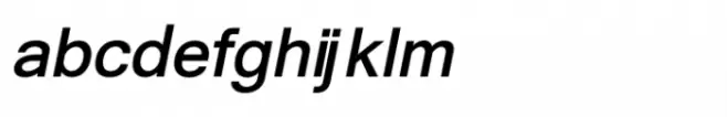 Shree Devanagari 1241 Bold Italic