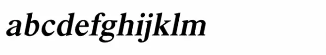 Shree Devanagari 1244 Bold Italic