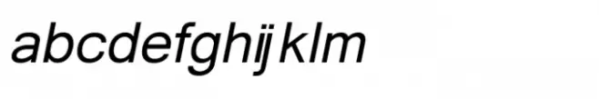 Shree Devanagari 1249 Bold Italic