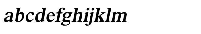 Shree Devanagari 1282 Bold Italic
