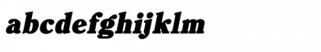 Shree Devanagari 1287 Bold Italic