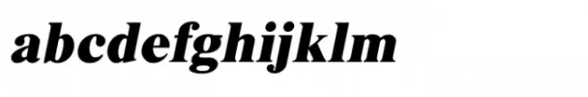 Shree Devanagari 1287 Medium Italic