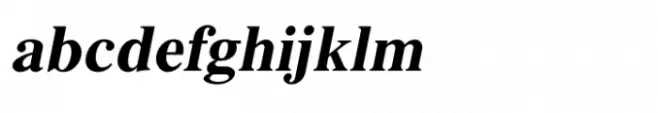 Shree Devanagari 1291 Bold Italic