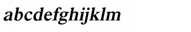 Shree Devanagari 1291 Italic
