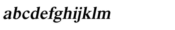 Shree Devanagari 2300 Italic