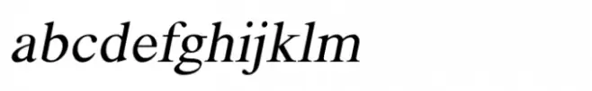 Shree Devanagari 2314 Italic