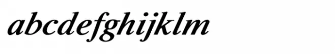 Shree Devanagari 2318 Italic
