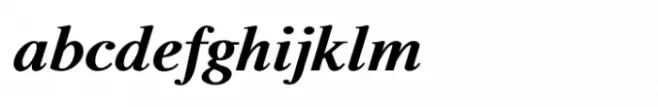 Shree Devanagari 2319 Italic
