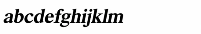 Shree Devanagari 2342 Italic