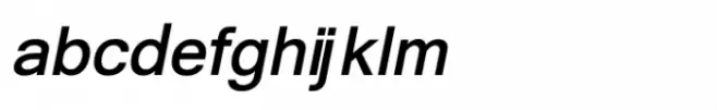 Shree Devanagari 2376 Bold Italic