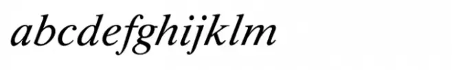 Shree Devanagari 3539 Bold Italic